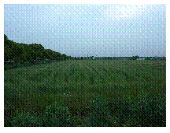 文本框:
